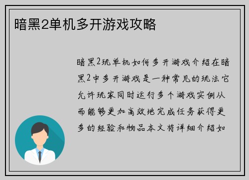 暗黑2单机多开游戏攻略